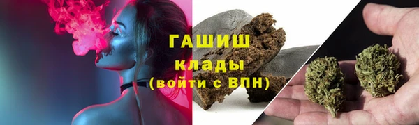 молекула духа Вязьма