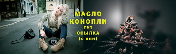 молекула духа Вязьма