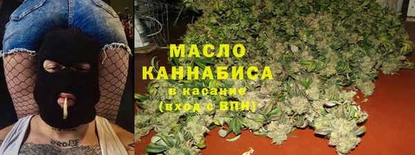 молекула духа Вязьма