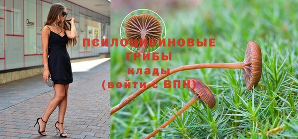 стаф Орехово-Зуево