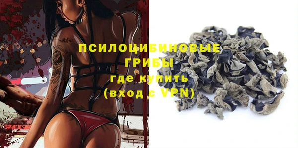 молекула духа Вязьма