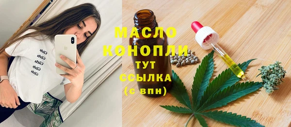 молекула духа Вязьма