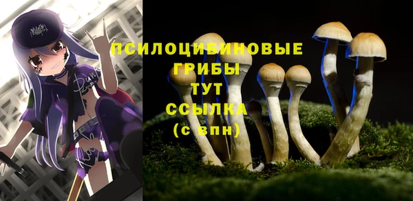 2c-b Вяземский