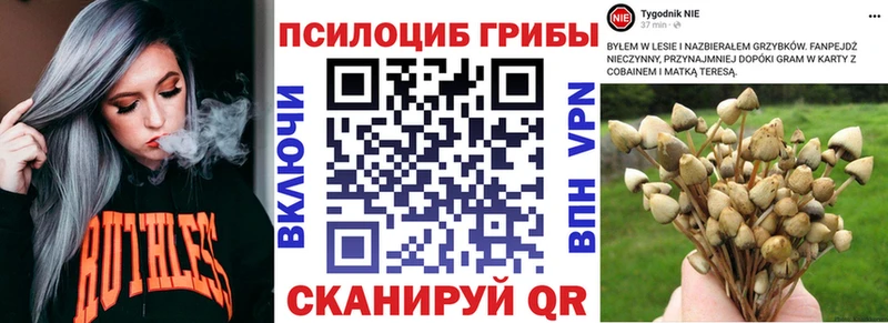 Галлюциногенные грибы Magic Shrooms  Гуково 